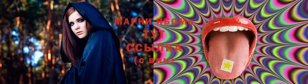 мяу мяу мука Аркадак