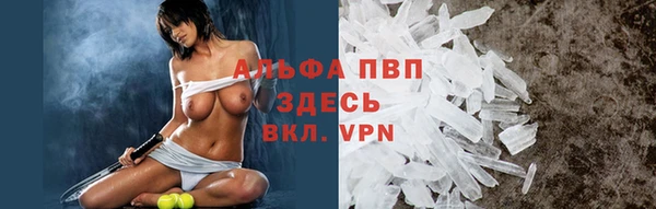 мяу мяу мука Аркадак