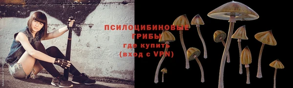 Альфа ПВП Армянск