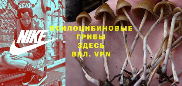 мяу мяу мука Аркадак