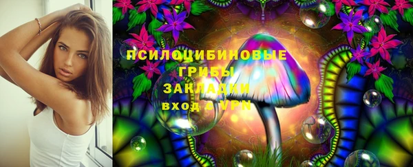 мяу мяу мука Аркадак