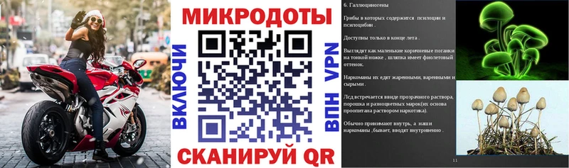 купить   Пятигорск  Галлюциногенные грибы GOLDEN TEACHER 