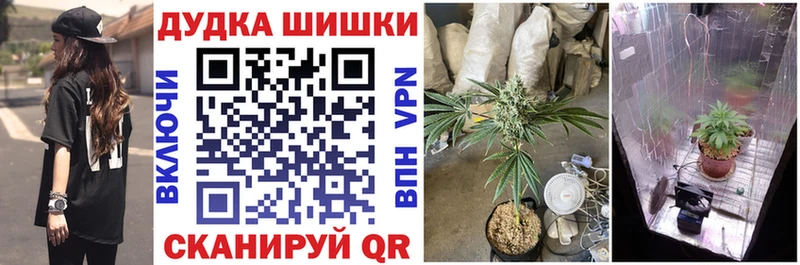 Бошки Шишки планчик  как найти наркотики  Пятигорск 